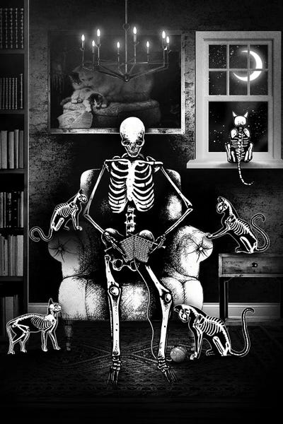 Skeletons: In Good Company by Junaid Mortimer