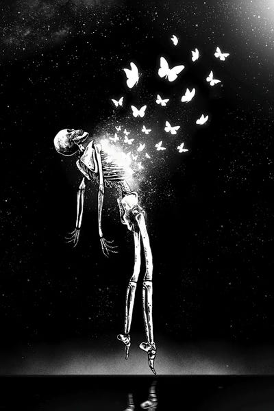 Skeletons: Metamorphosis by Junaid Mortimer