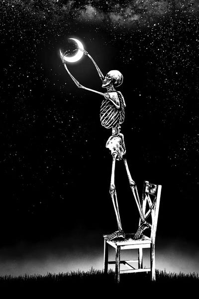 Skeletons: Nightlight by Junaid Mortimer