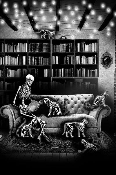 Love Is Eternal: Purrfect Company by Junaid Mortimer