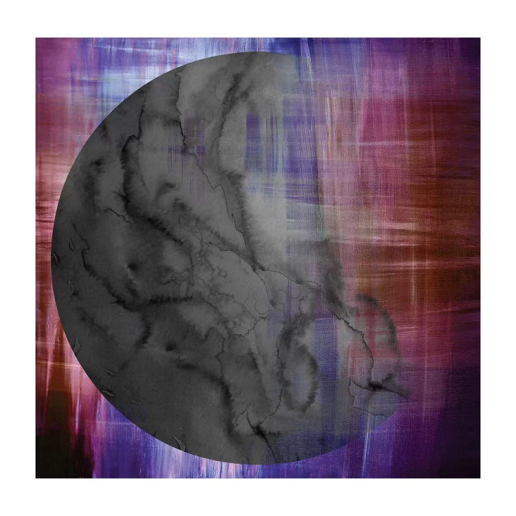 Moon Gazing II by Julia Di Sano canvas print