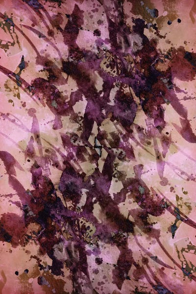 Julia Di Sano: Splash Into Style by Julia Di Sano