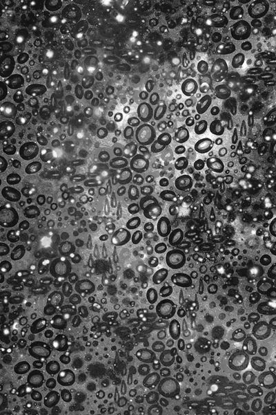 Julia Di Sano: You're One In A Million II by Julia Di Sano