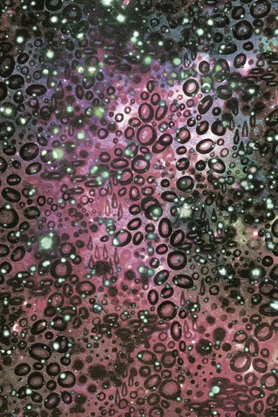 Julia Di Sano: You're One In A Million III by Julia Di Sano