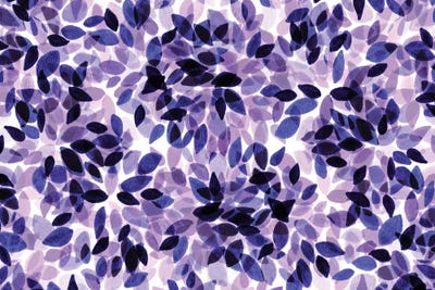 Dahlia Dots III by Julia Di Sano canvas print