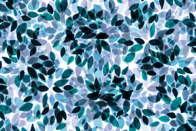 Dahlia Dots V by Julia Di Sano art print