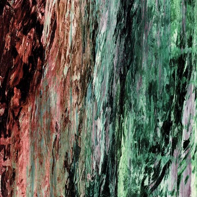 Rainbow Bark I by Julia Di Sano art print