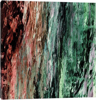 Rainbow Bark I Canvas Art Print - Color Palettes