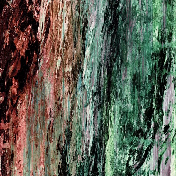 Julia Di Sano: Rainbow Bark I by Julia Di Sano