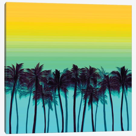 Beach Palms I Bold Canvas Print #JDS190} by Julia Di Sano Canvas Artwork