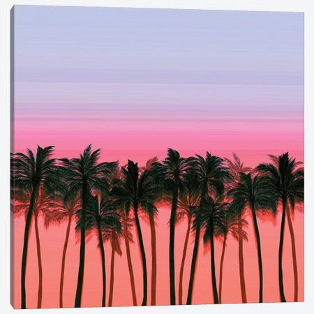 Beach Palms II Bold Canvas Print #JDS191} by Julia Di Sano Canvas Artwork