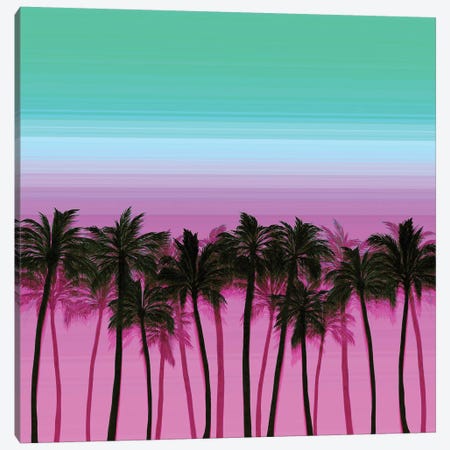 Beach Palms III Bold Canvas Print #JDS192} by Julia Di Sano Canvas Wall Art
