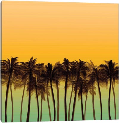 Beach Palms IV Bold Canvas Art Print - Tropical Beach Art