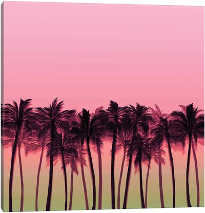Beach Palms V Bold Canvas Art Print - Tropical Beach Art