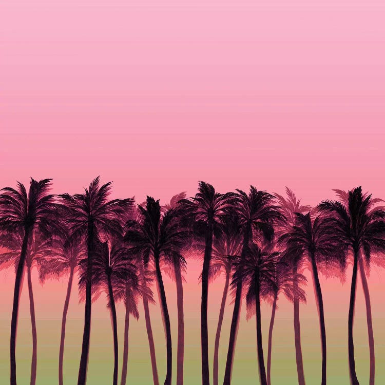 Beach Palms V Bold