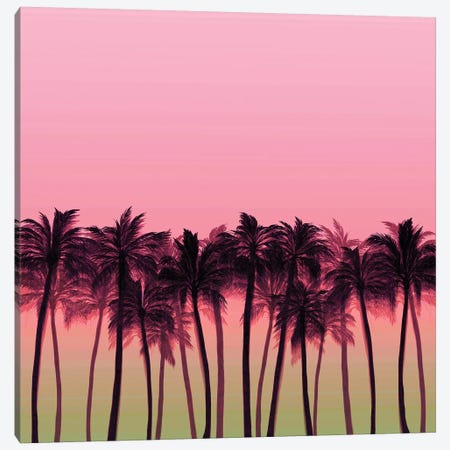Beach Palms V Bold Canvas Print #JDS194} by Julia Di Sano Canvas Print