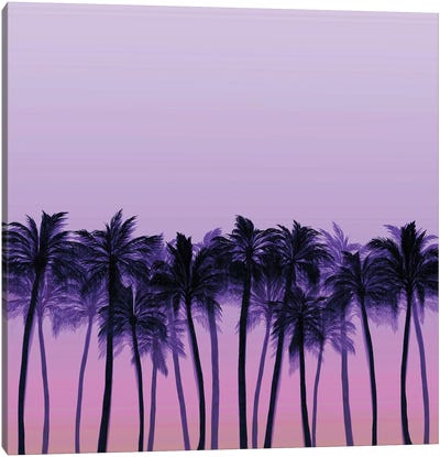 Beach Palms VI Bold Canvas Art Print - Julia Di Sano