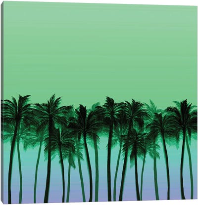 Beach Palms VII Bold Canvas Art Print - Tropical Beach Art