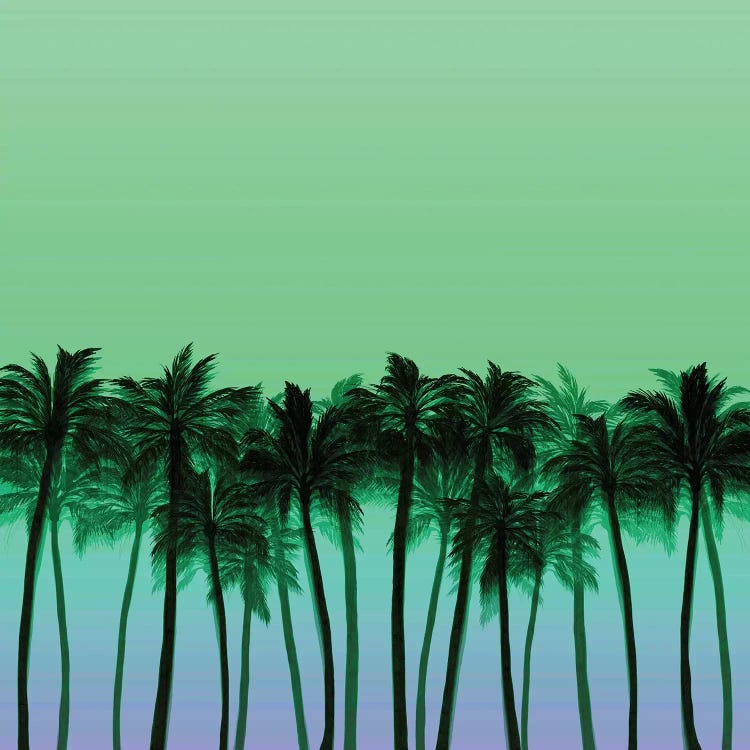 Beach Palms VII Bold