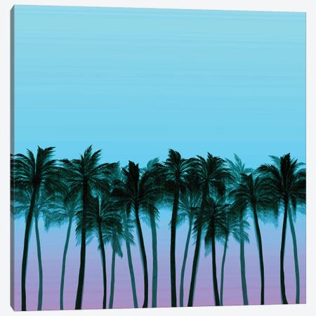 Beach Palms VIII Bold Canvas Print #JDS197} by Julia Di Sano Art Print