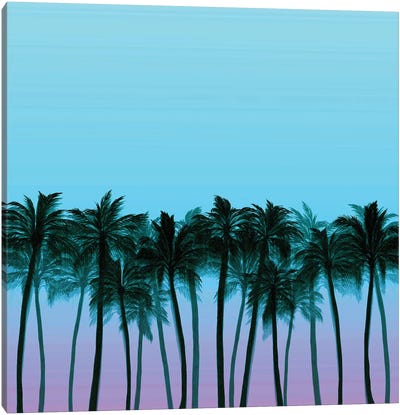 Beach Palms VIII Bold Canvas Art Print - Julia Di Sano