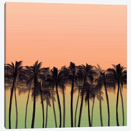 Beach Palms IX Bold Canvas Print #JDS198} by Julia Di Sano Canvas Art