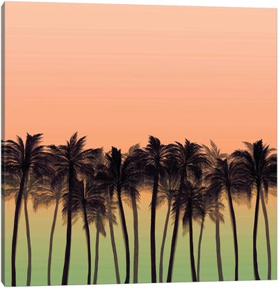 Beach Palms IX Bold Canvas Art Print - Julia Di Sano