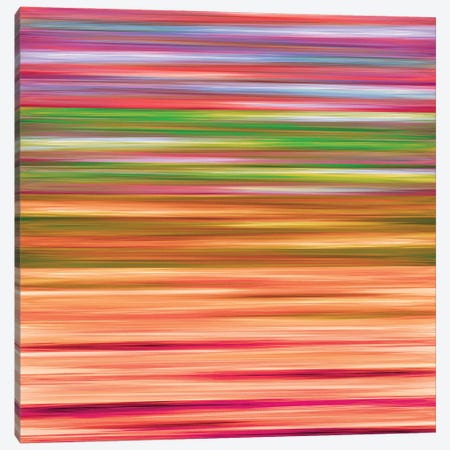 Rainbow Flow 4, Colorful Ombre Stripes Abstract Canvas Print #JDS208} by Julia Di Sano Canvas Art