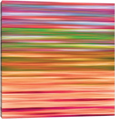 Rainbow Flow 4, Colorful Ombre Stripes Abstract Canvas Art Print - Julia Di Sano