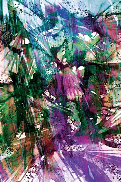 Birds Of Prey - Sunshine Splash II by Julia Di Sano canvas print