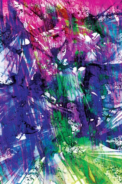 Birds Of Prey - Twilight Spark by Julia Di Sano art print