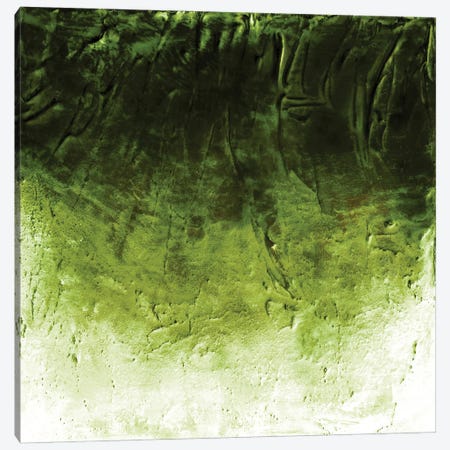 Beneath The Veil II, Green Inverted Bold Canvas Print #JDS254} by Julia Di Sano Canvas Artwork
