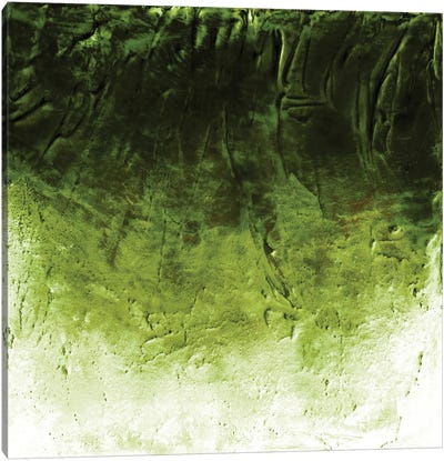 Beneath The Veil II, Green Inverted Bold Canvas Art Print - Julia Di Sano