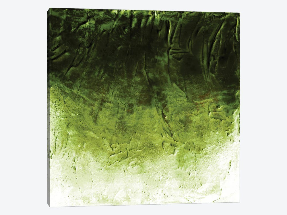 Beneath The Veil II, Green Inverted Bold by Julia Di Sano 1-piece Canvas Print