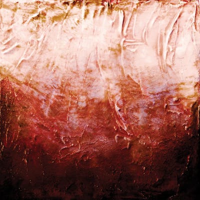 Beneath The Veil I, Cayenne Orange Rust Bold by Julia Di Sano art print