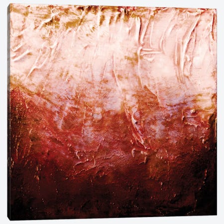 Beneath The Veil I, Cayenne Orange Rust Bold Canvas Print #JDS256} by Julia Di Sano Canvas Art