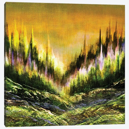Woodland Secrets Multi II, Bold Forest Trees Landscape Canvas Print #JDS262} by Julia Di Sano Canvas Wall Art