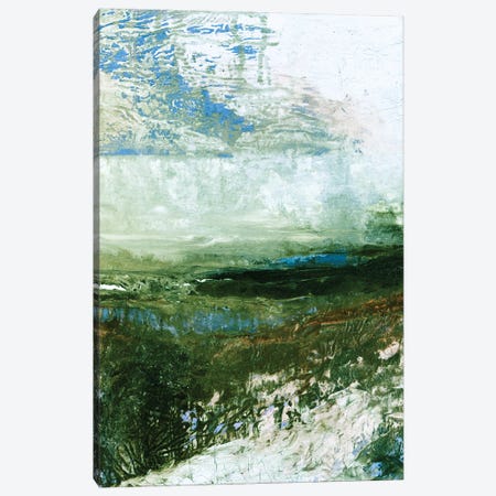 Coastal Landscape Study II IV Canvas Print #JDS308} by Julia Di Sano Canvas Print