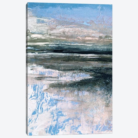 Coastal Landscape Study III V Canvas Print #JDS311} by Julia Di Sano Canvas Wall Art