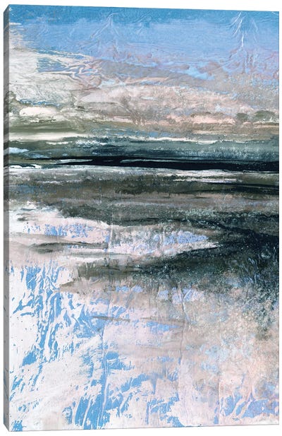 Coastal Landscape Study III V Canvas Art Print - Julia Di Sano