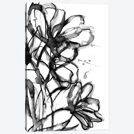 Brushstroke Blooms I Canvas Print #JDS317} by Julia Di Sano Canvas Print