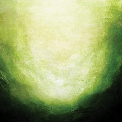 Immersed II by Julia Di Sano art print