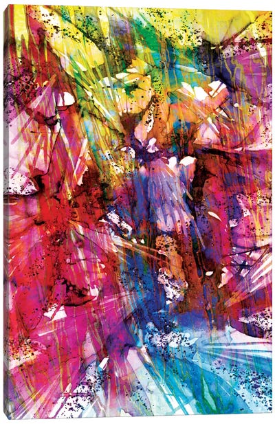 Birds Of Prey - Sunshine Splash I Canvas Art Print - Julia Di Sano