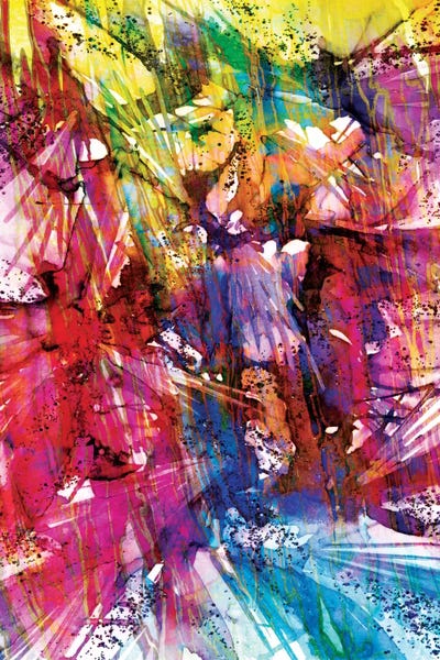 Julia Di Sano: Birds Of Prey - Sunshine Splash I by Julia Di Sano