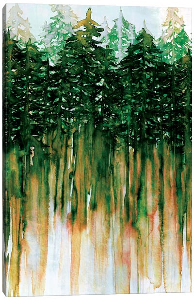 Northwest Vibes IV Canvas Art Print - Evergreen Tree Art