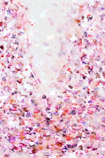 Hanami I - Sakura Japanese Cherry Blossoms