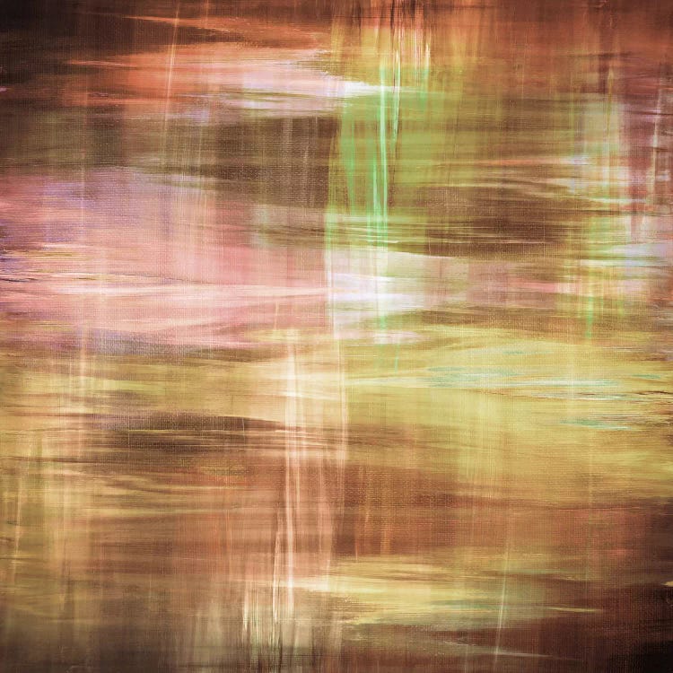 Blurry Vision V by Julia Di Sano canvas print