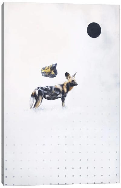 African Wild Dog Canvas Art Print - Joshua Daniels