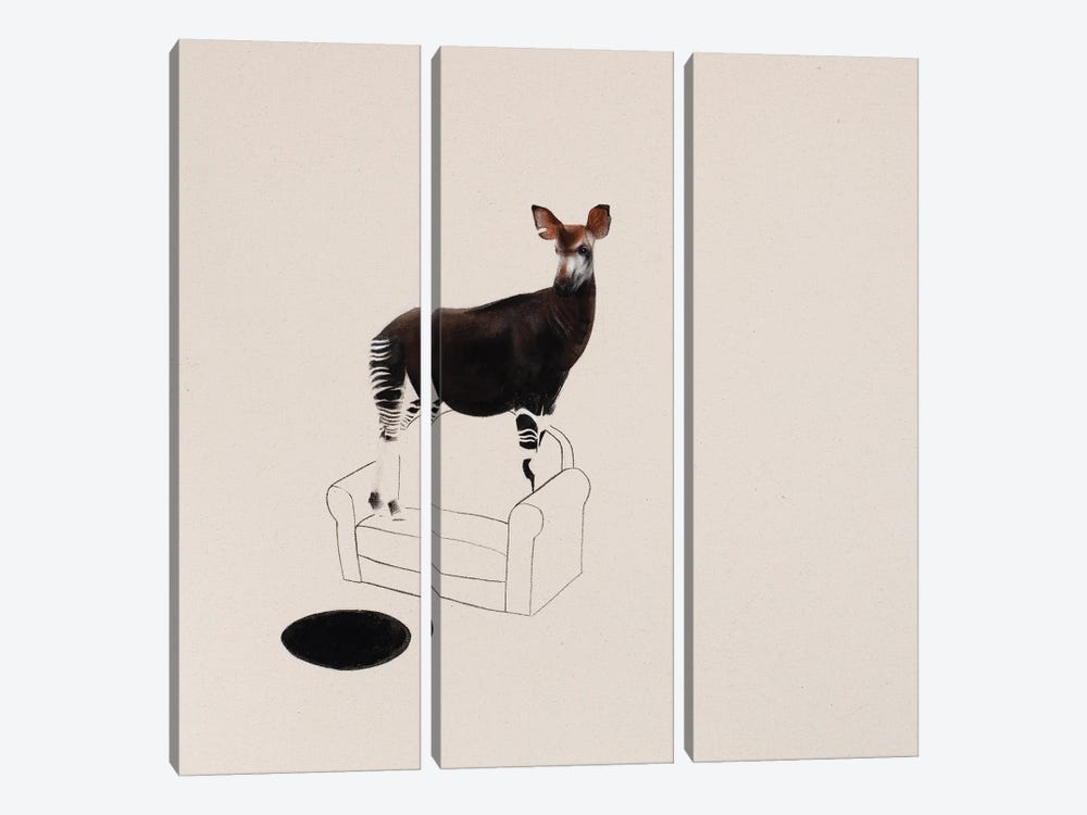 Okapi by Joshua Daniels 3-piece Canvas Art Print