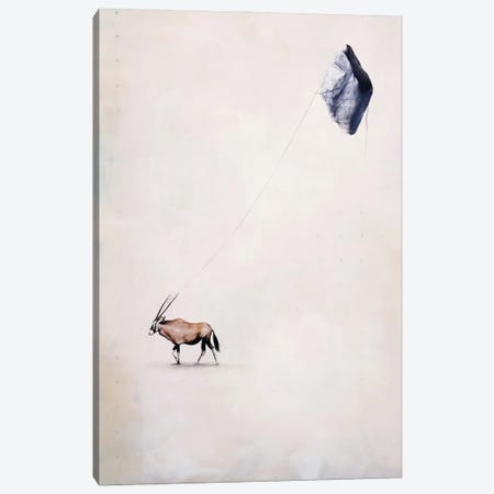 Oryx And Onyx Canvas Print #JDZ27} by Joshua Daniels Canvas Wall Art